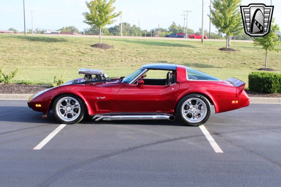 1979 Corvette picture #24