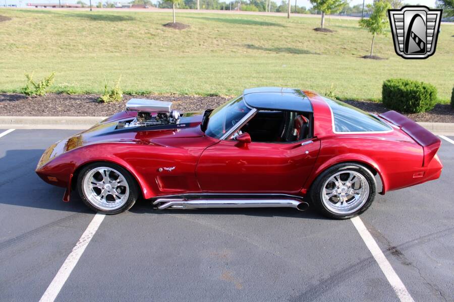 1979 Corvette picture #28