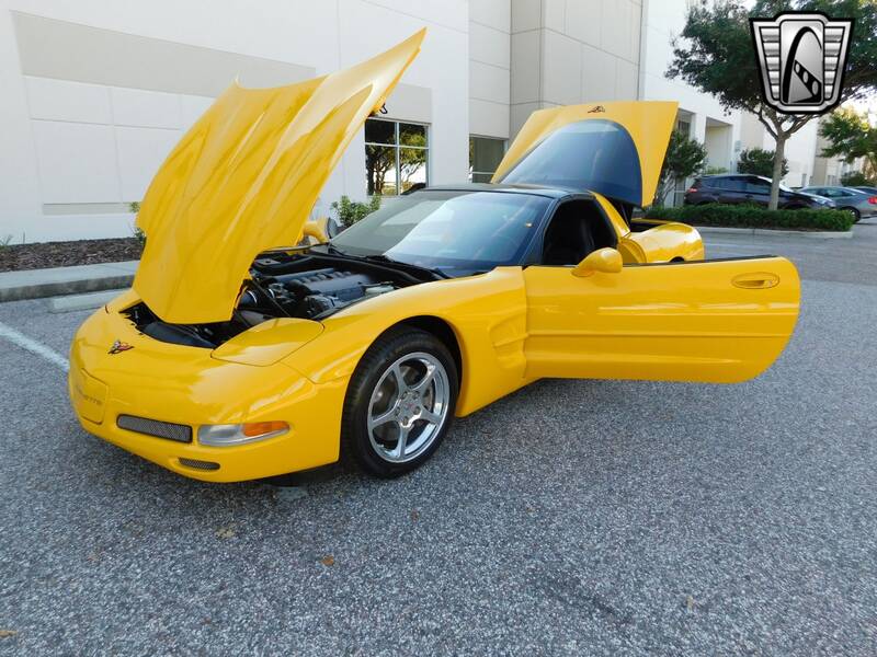 2002 Corvette picture #14