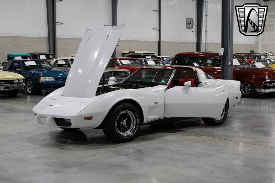 1979 Corvette picture #9