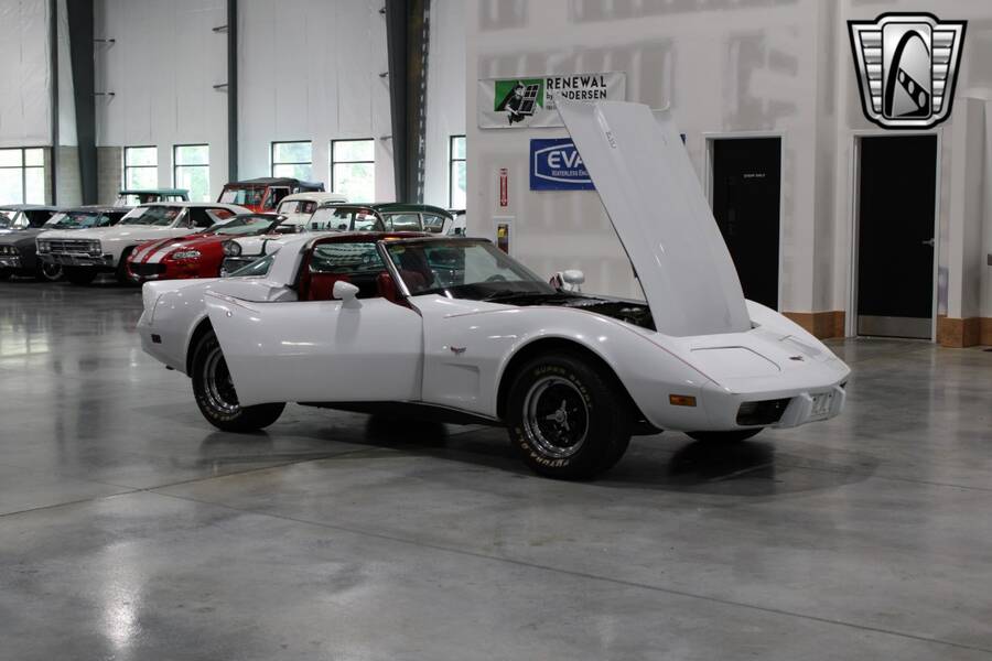 1979 Corvette picture #14