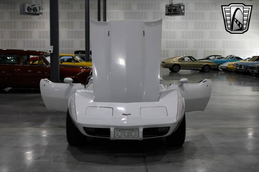 1979 Corvette picture #15