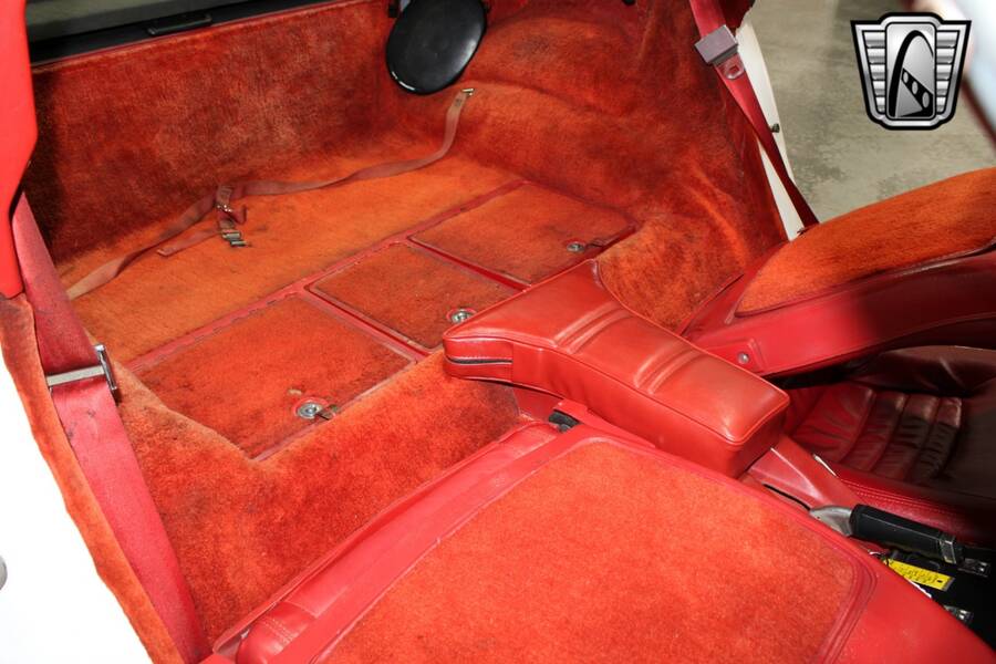 1979 Corvette picture #18