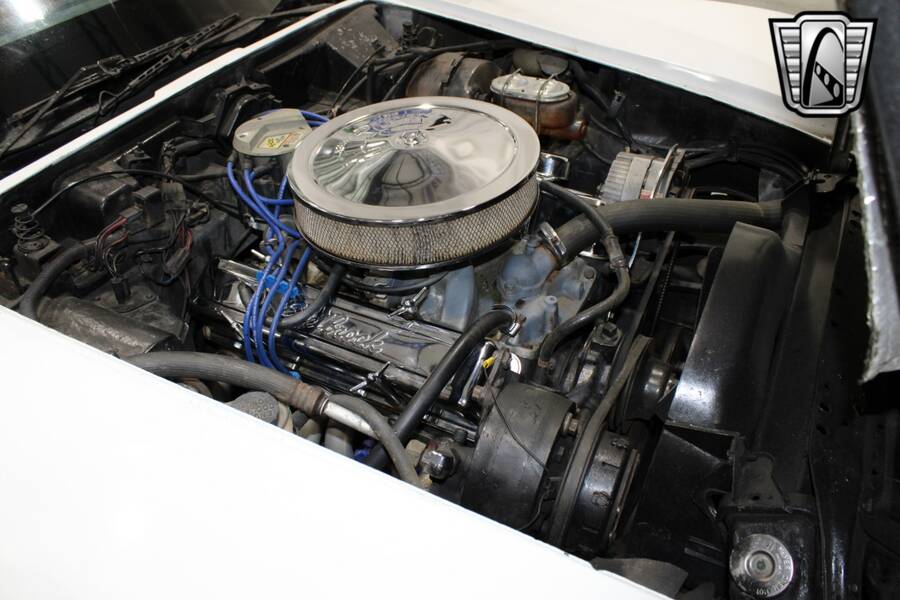 1979 Corvette picture #21