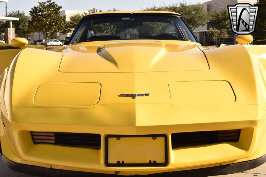 1980 Corvette picture #26