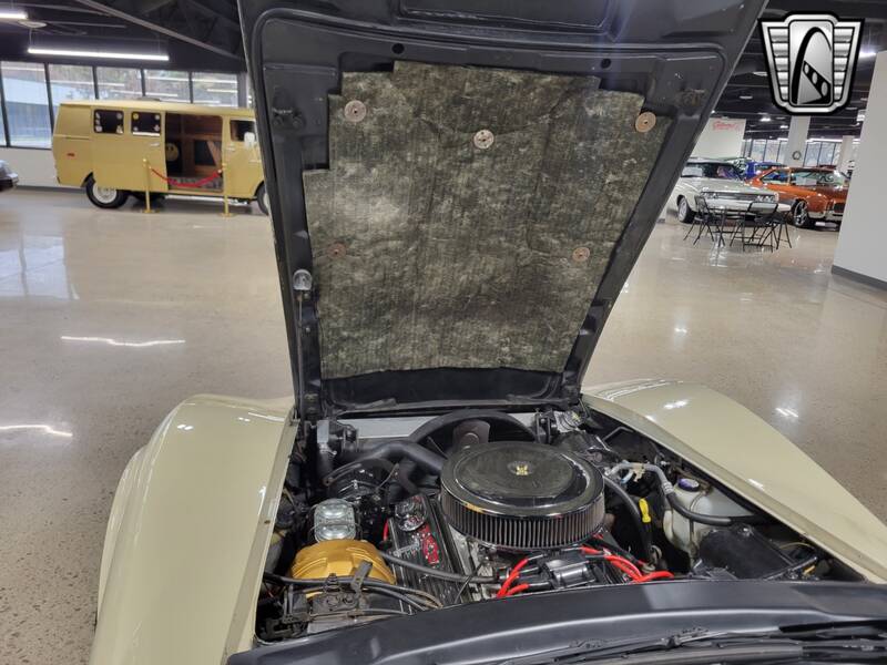 1978 Corvette picture #8