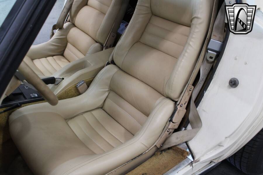 1979 Corvette picture #7