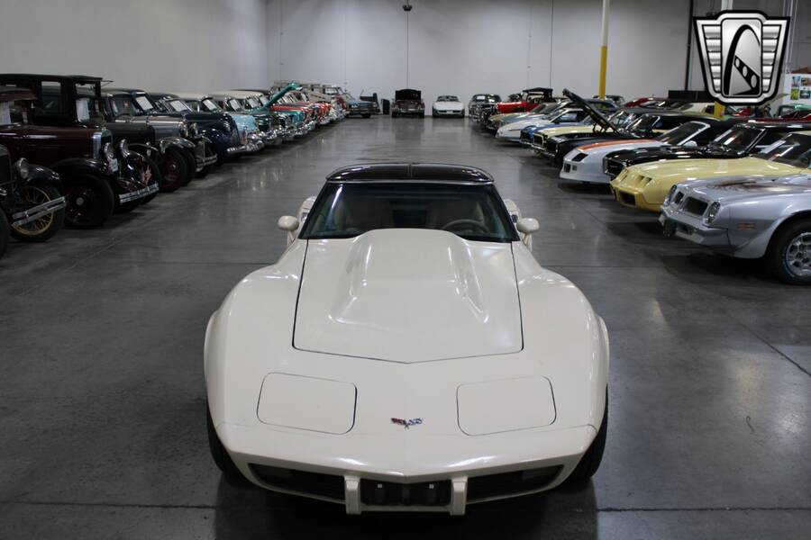 1979 Corvette picture #13