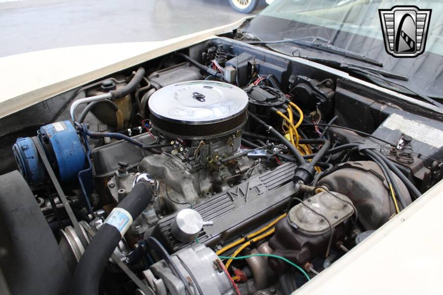 1979 Corvette picture #15