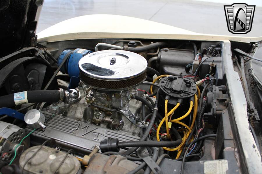 1979 Corvette picture #16