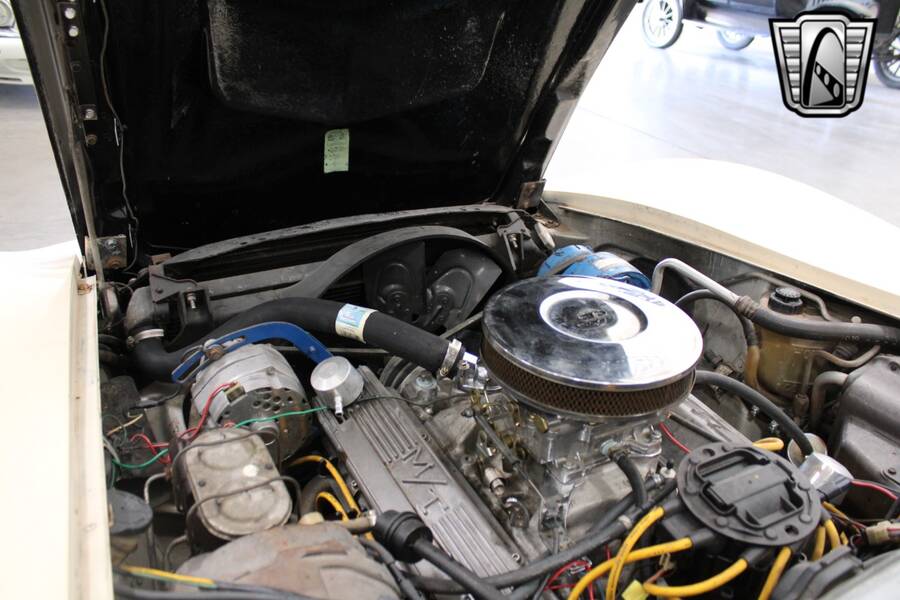 1979 Corvette picture #17