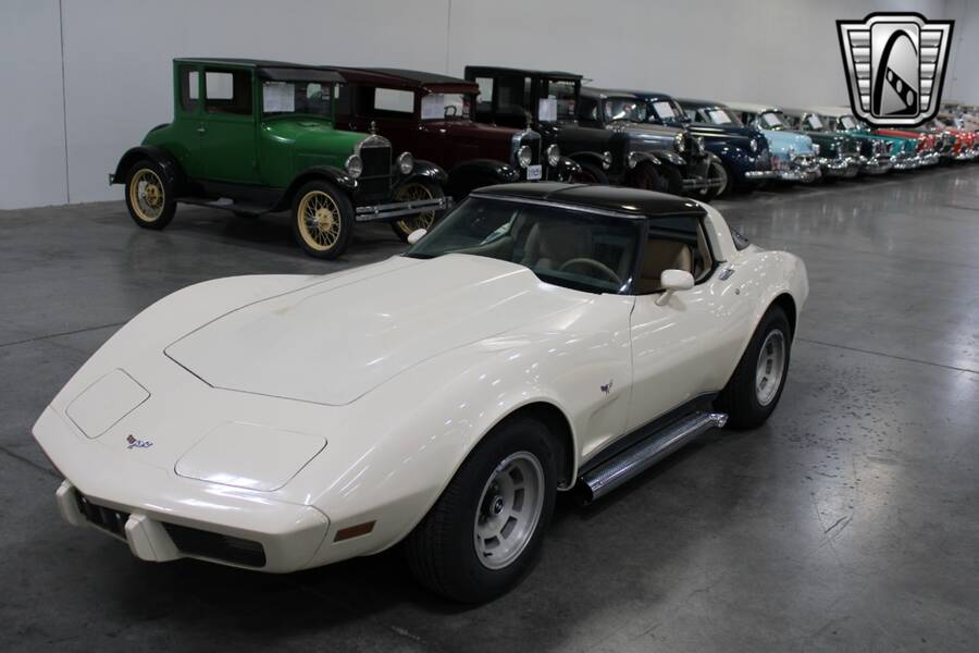 1979 Corvette picture #21
