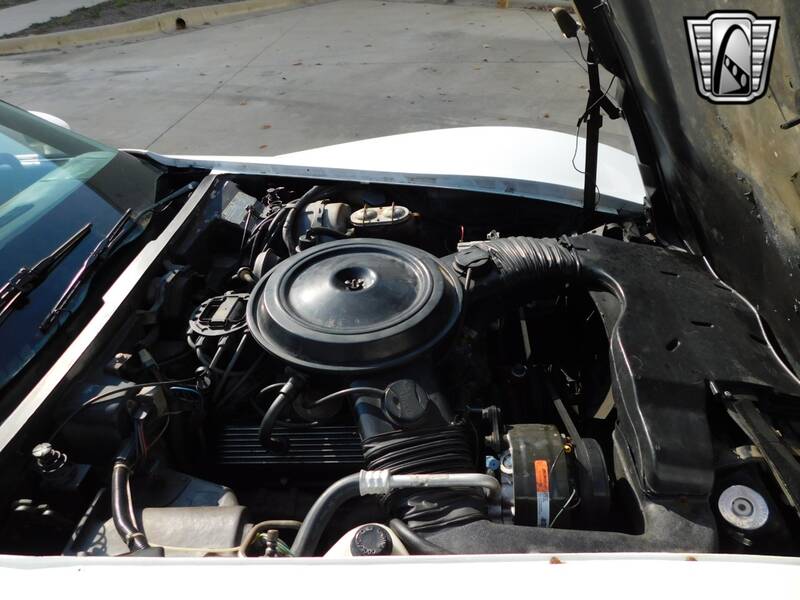 1979 Corvette picture #10