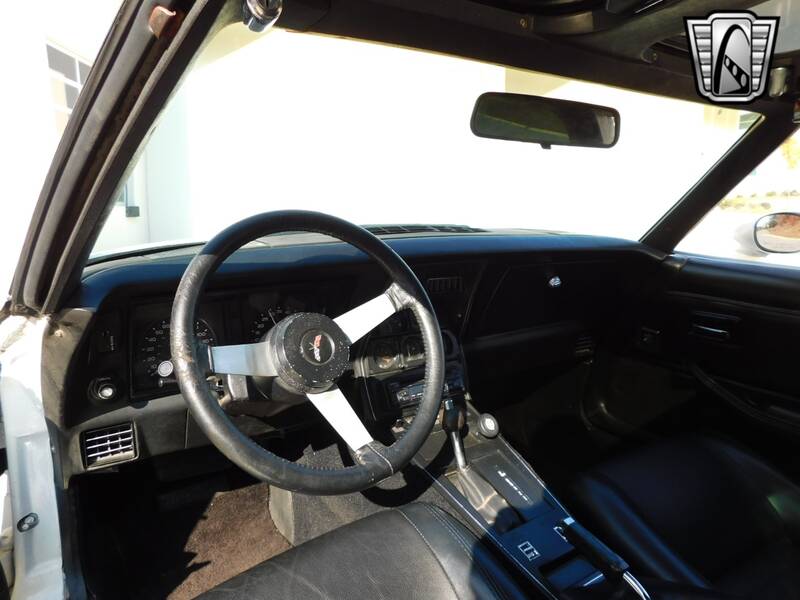 1979 Corvette picture #14