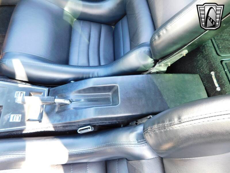 1979 Corvette picture #15