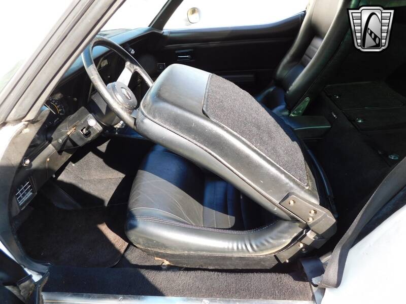 1979 Corvette picture #16