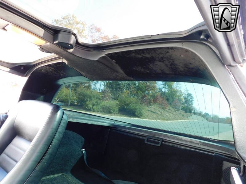 1979 Corvette picture #17