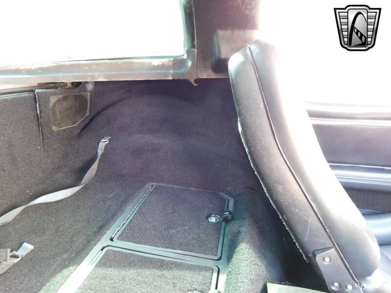 1979 Corvette picture #22