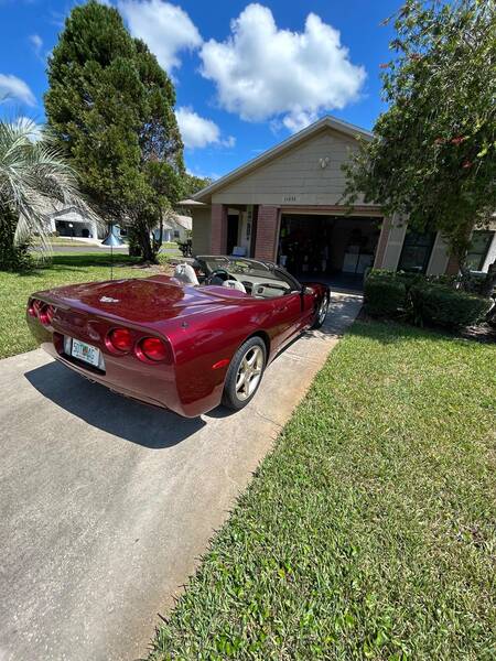 2003 50th, Convertible, Burgandy/shale picture #1