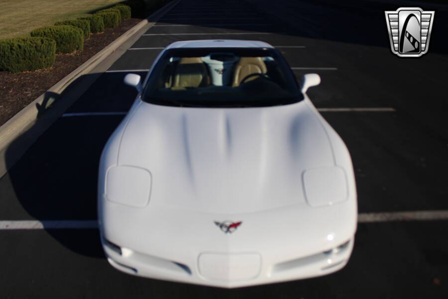 1998 Corvette picture #9