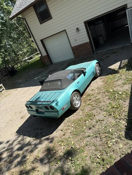 1990 Standard Convert picture #13