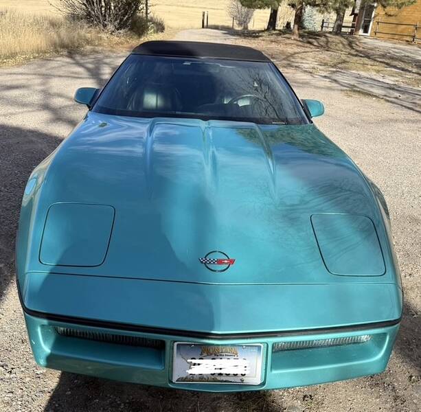 1990 Standard Convert picture #15