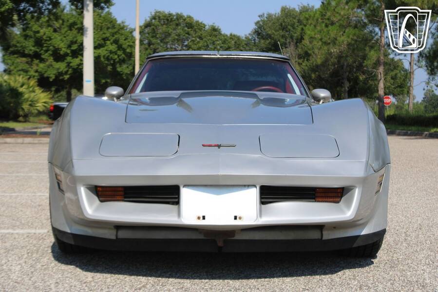 1981 Corvette picture #3