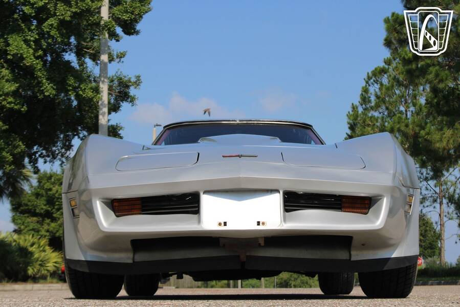 1981 Corvette picture #4