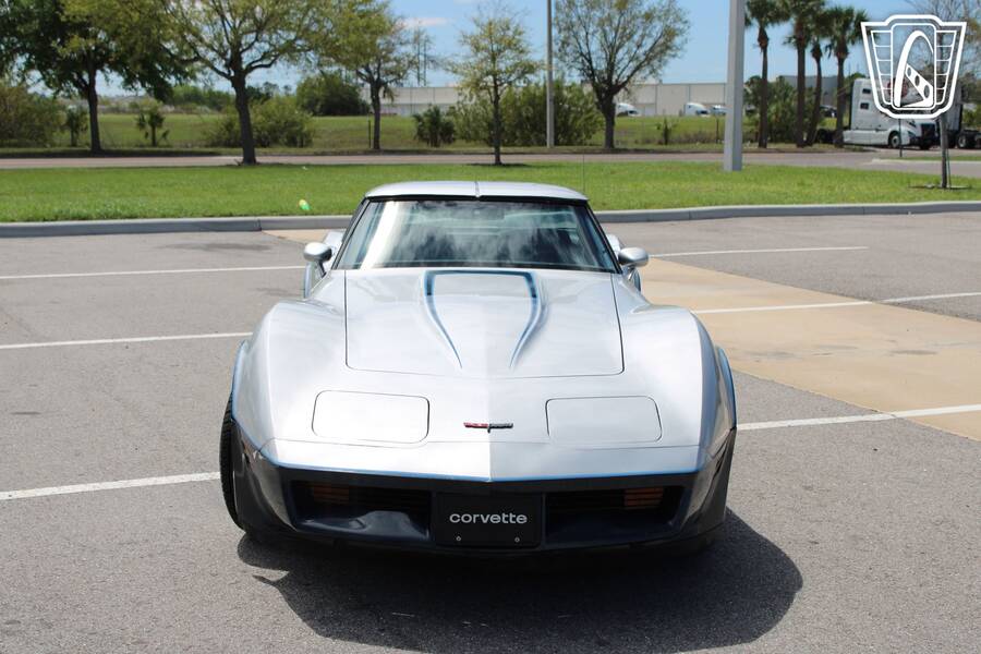 1981 Corvette picture #2