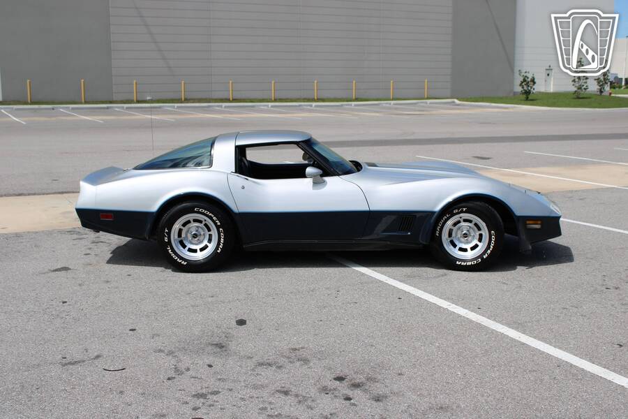 1981 Corvette picture #3