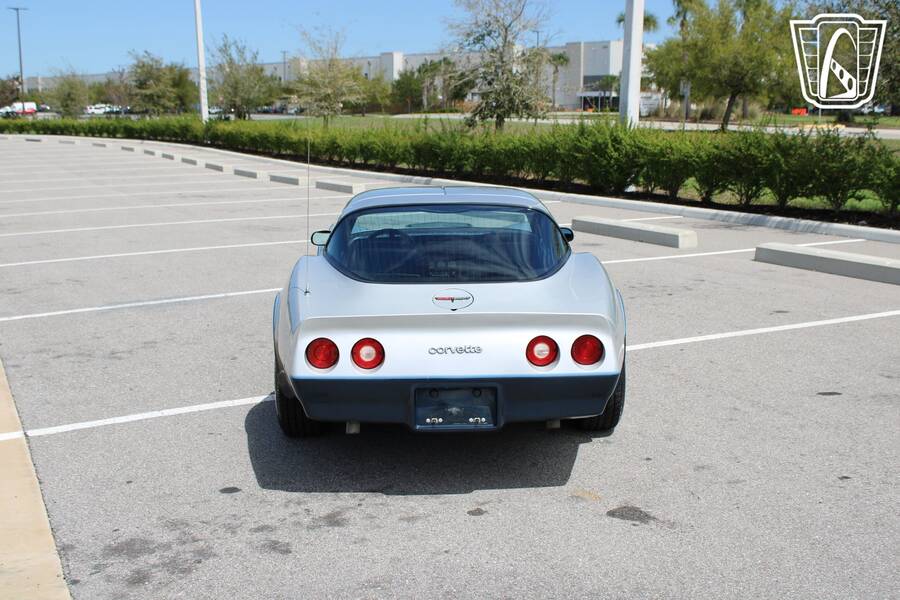 1981 Corvette picture #4
