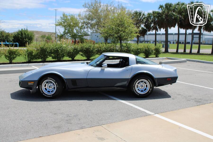 1981 Corvette picture #5