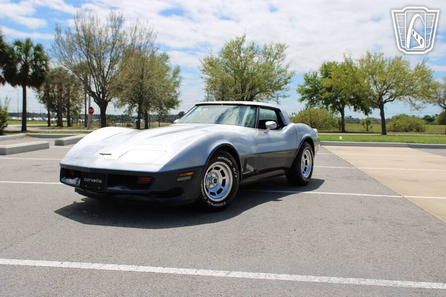 1981 Corvette picture #6