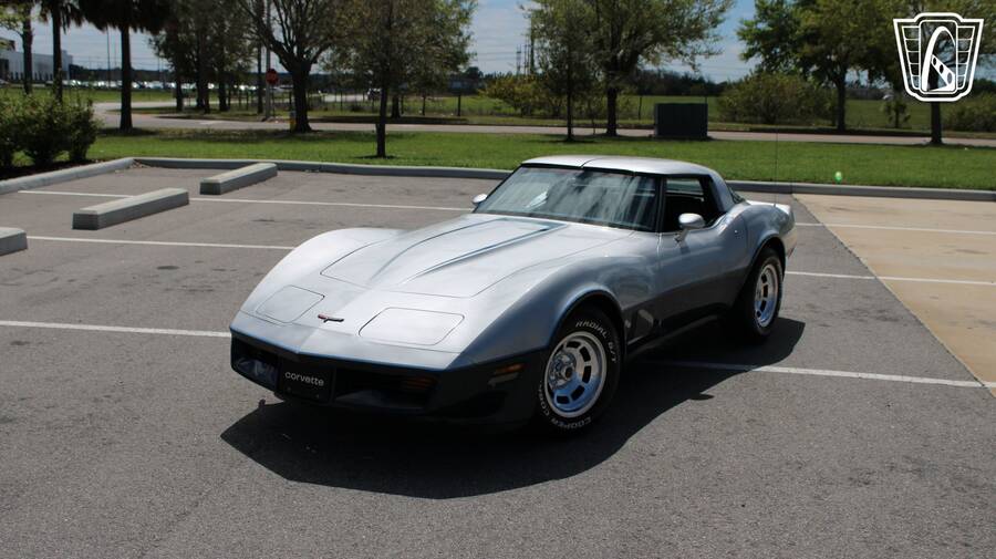 1981 Corvette picture #7