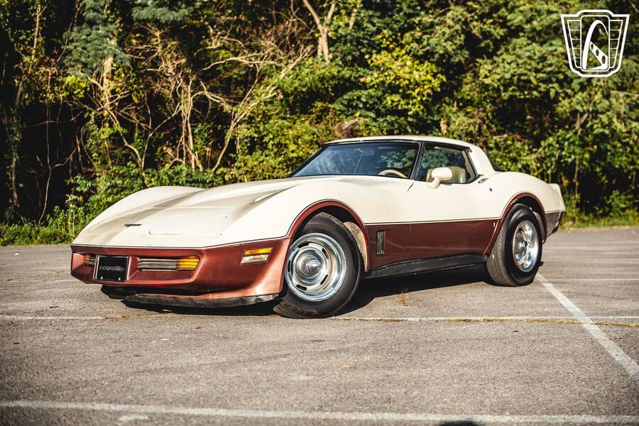 1981 Corvette picture #2