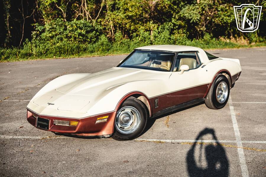1981 Corvette picture #3