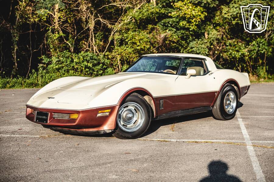 1981 Corvette picture #4