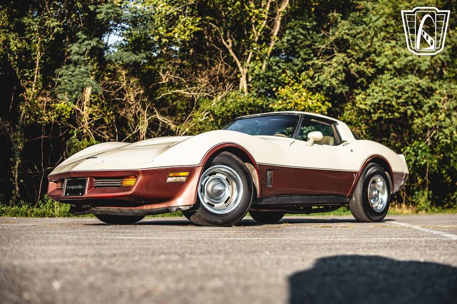 1981 Corvette picture #5