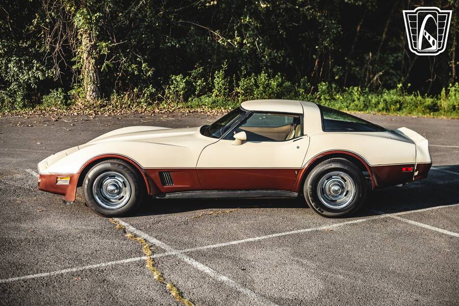 1981 Corvette picture #6