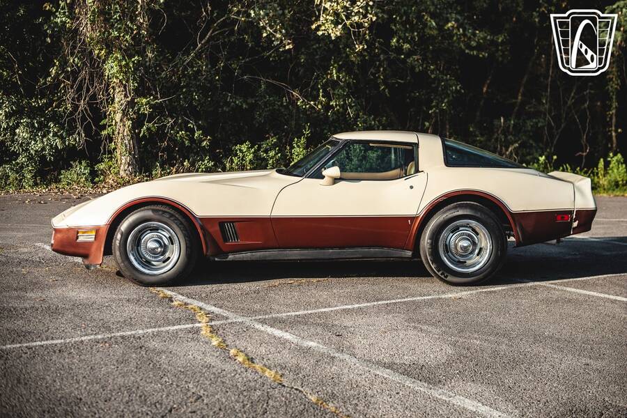 1981 Corvette picture #7