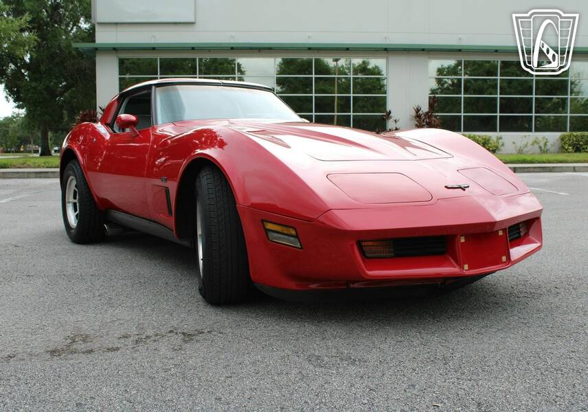 1981 Corvette picture #2