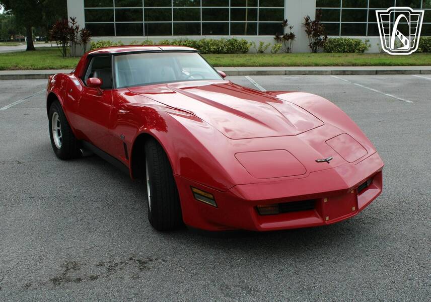 1981 Corvette picture #3