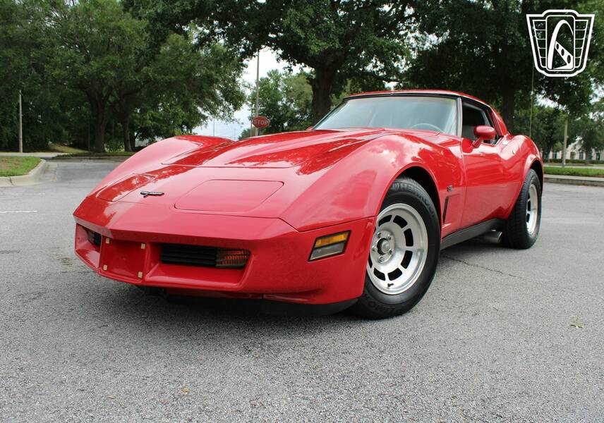 1981 Corvette picture #5