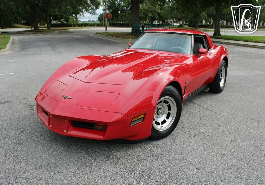 1981 Corvette picture #6
