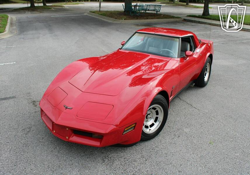 1981 Corvette picture #7