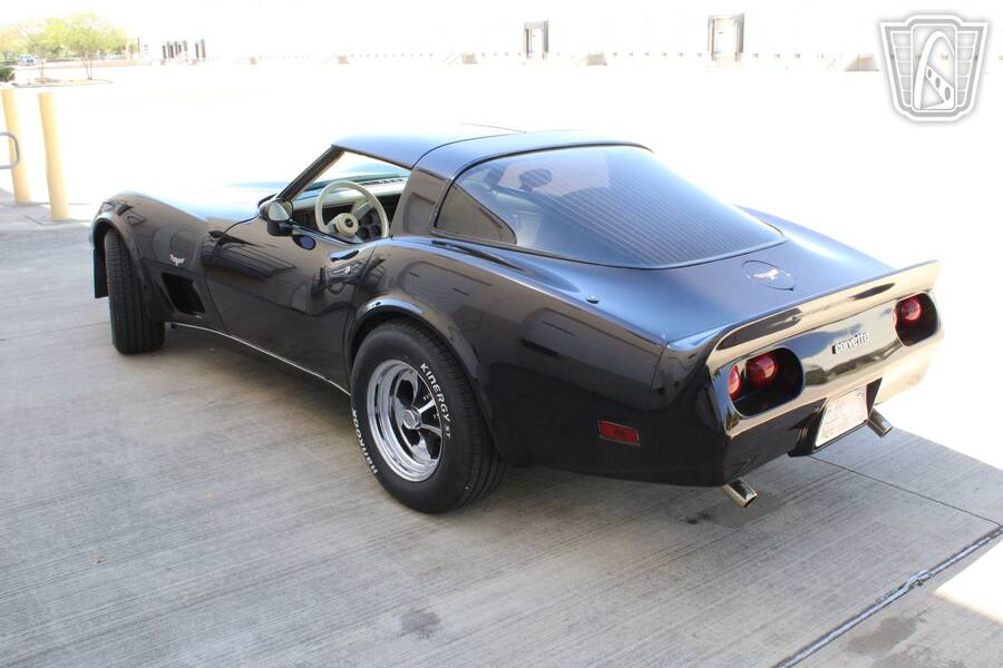1979 Corvette picture #6