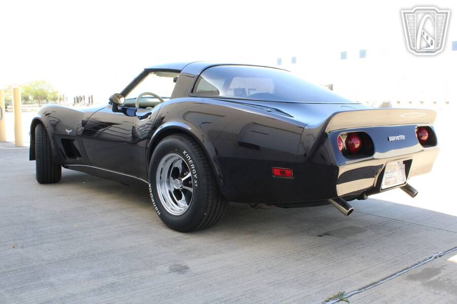 1979 Corvette picture #7