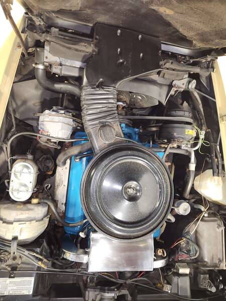 1977 Corvette picture #10