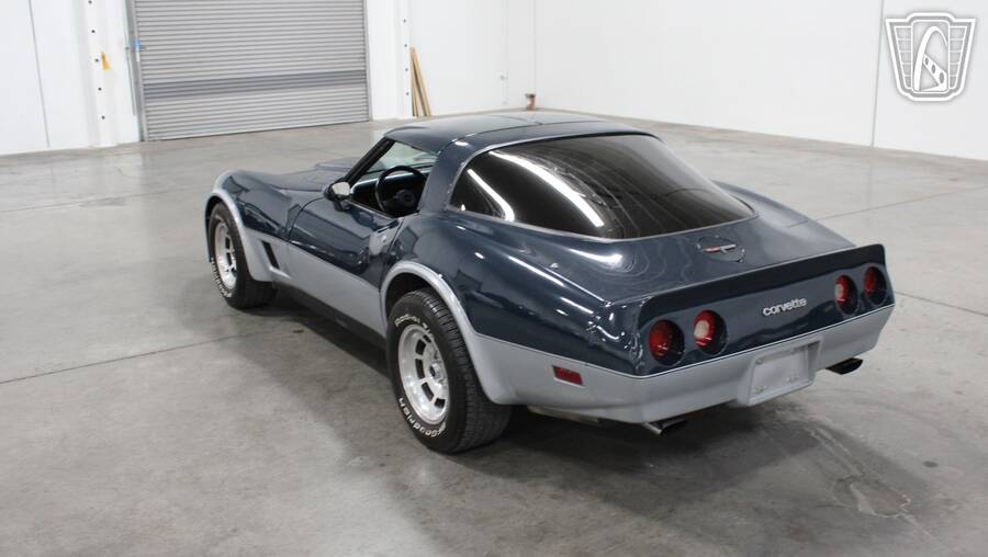 1981 Corvette picture #5