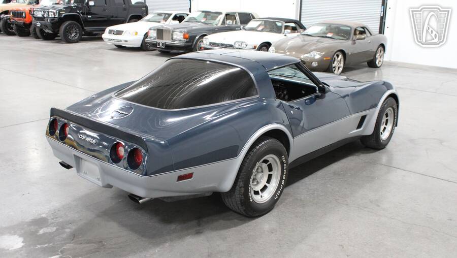 1981 Corvette picture #7